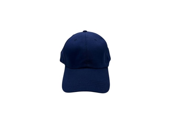 Bon Dad Hat