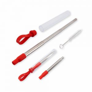 Canudo-Inox-Retratil-com-Escova-e-Estojo-11145-1573573566